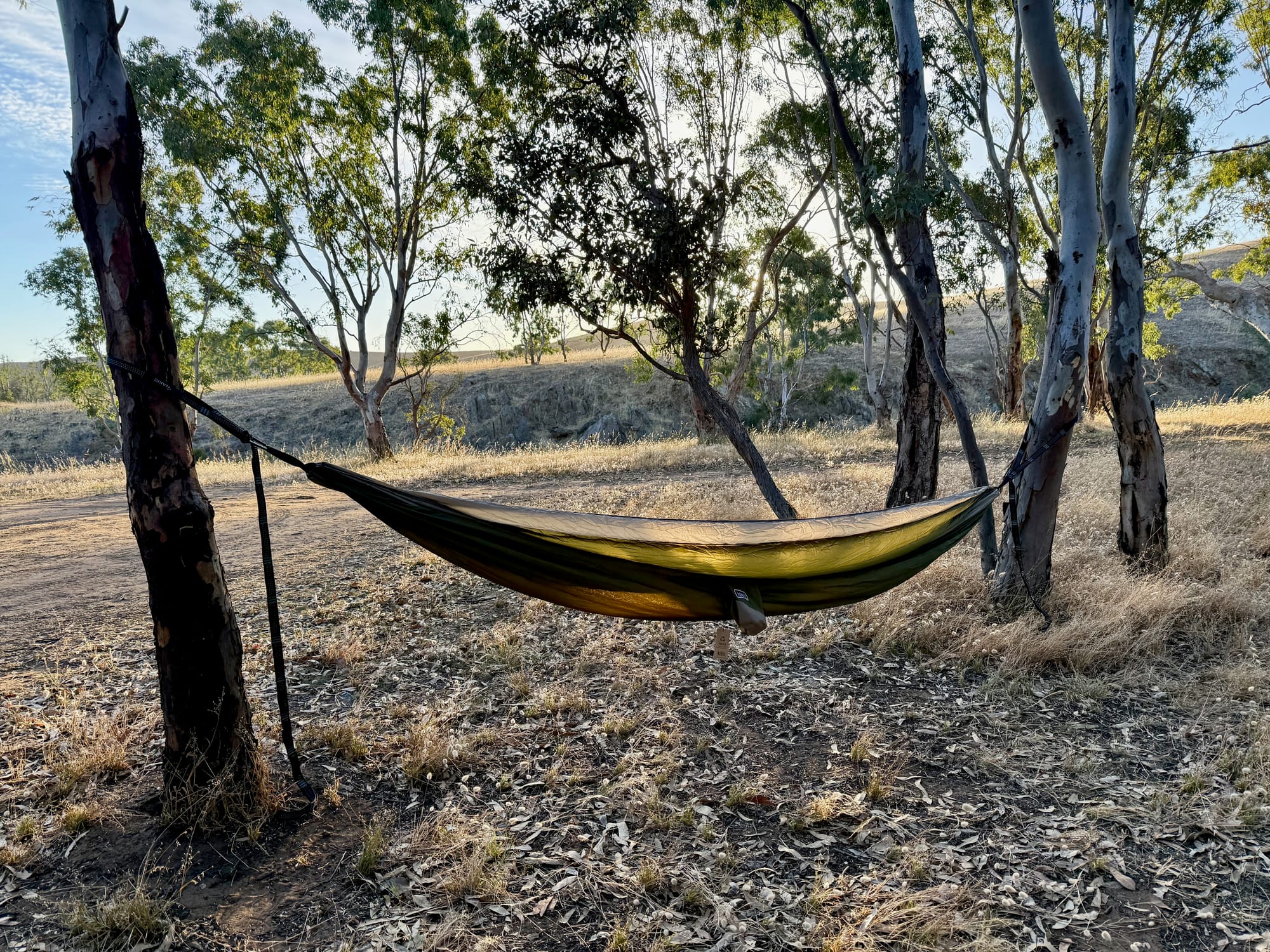 The empty Nakie hammock hung between two gum trees in the evening light