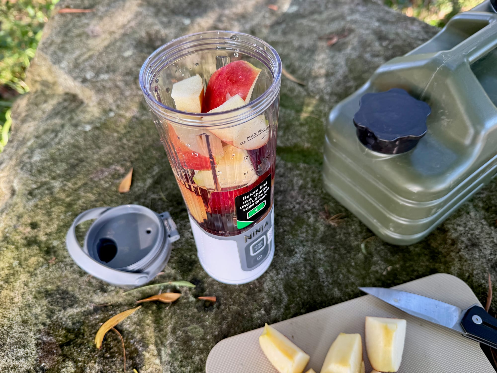 Apple and plum pieces in the Ninja Blast jar before blending