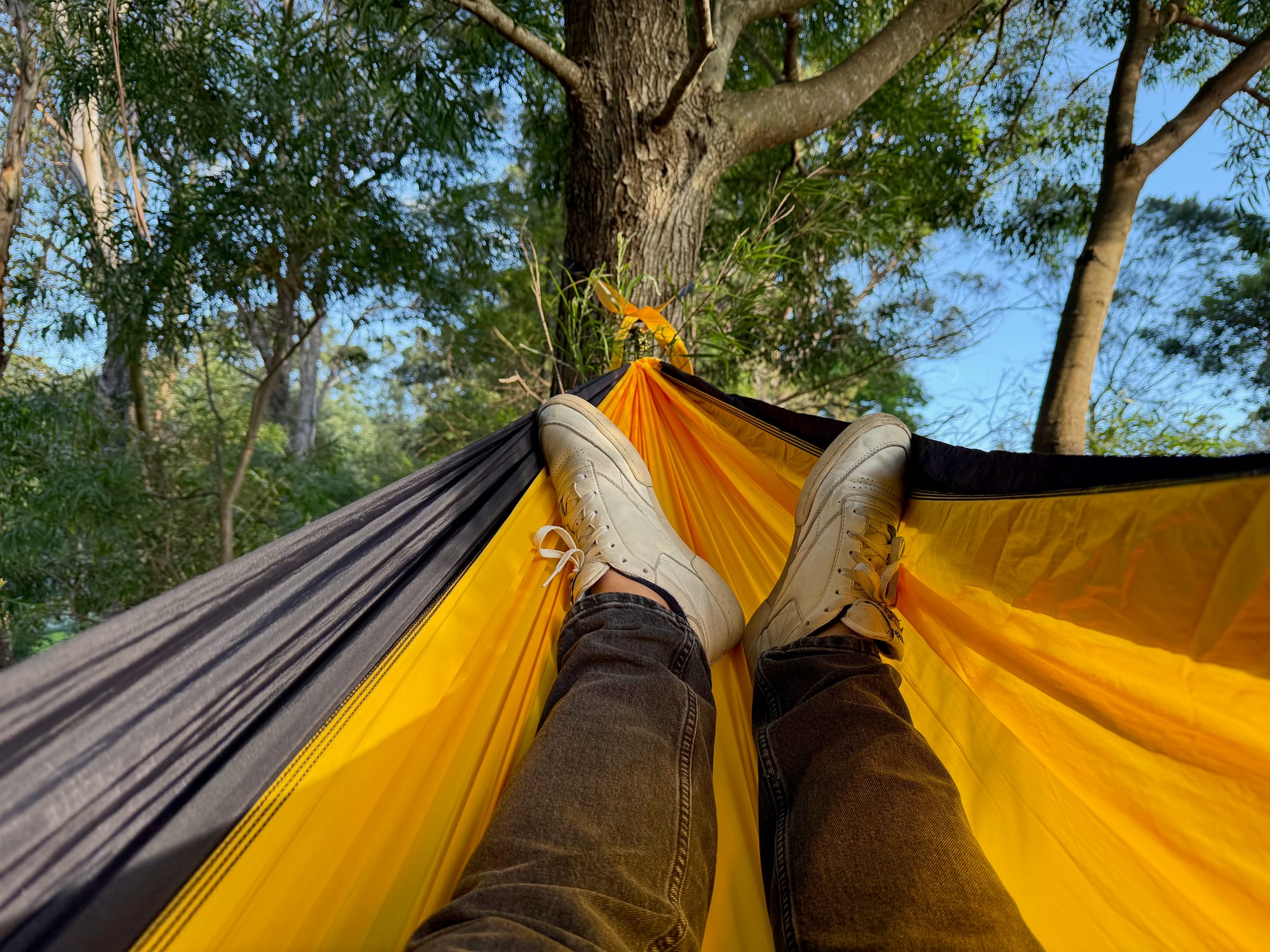 Lying in the gold North Face Wawona hammock, looking past my feet to the tree it hangs from