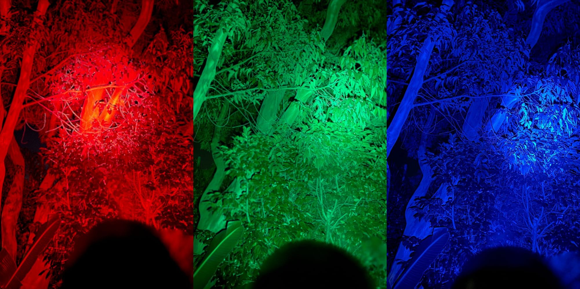 Red, green and blue light from the Marauder Mini lighting up trees at night
