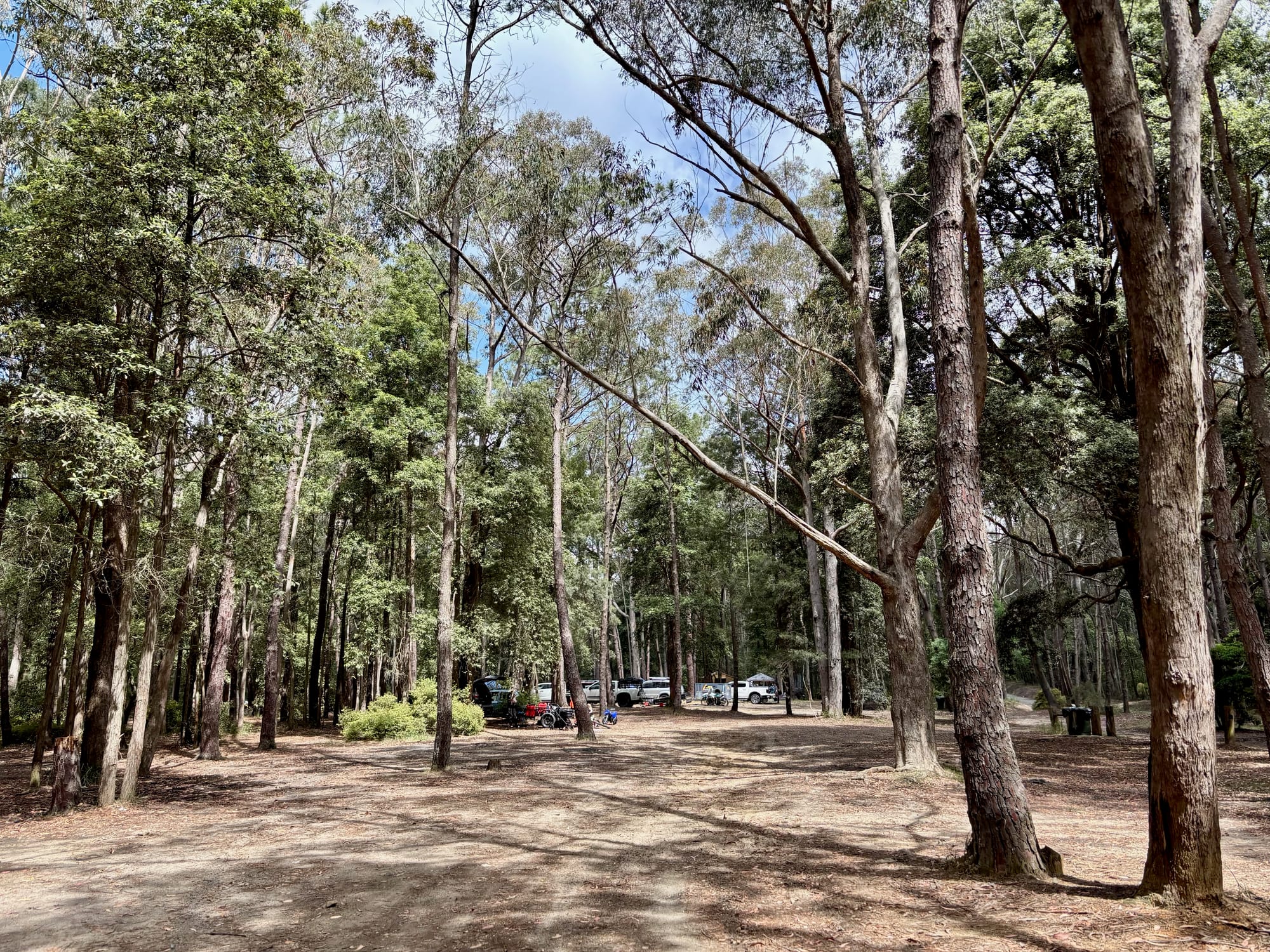 Camps among the trees at Olney Headquarters Camping Area