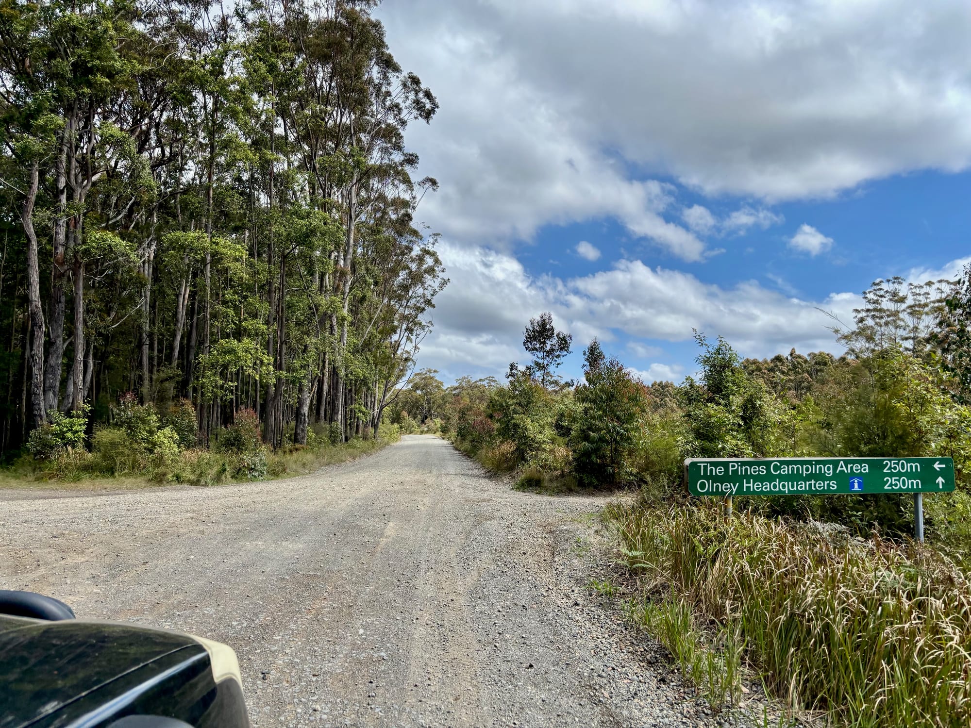 The road sign on Watagan Forest Road: The Pines Camping Area 250 m to the left, Olney Headquarters 250 m ahead