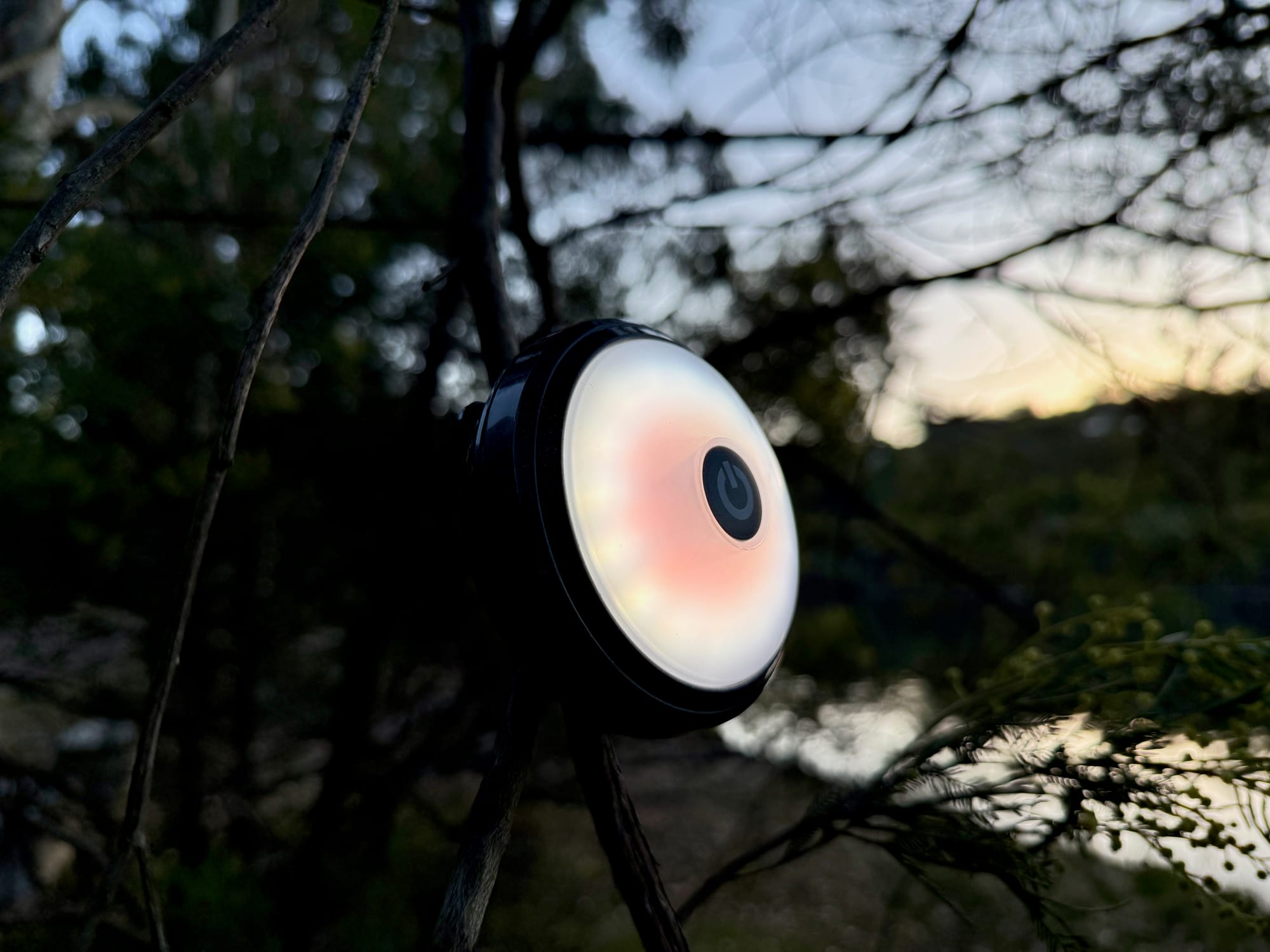 The OZtrail Portable Camp Light clipped to a branch with the white light on