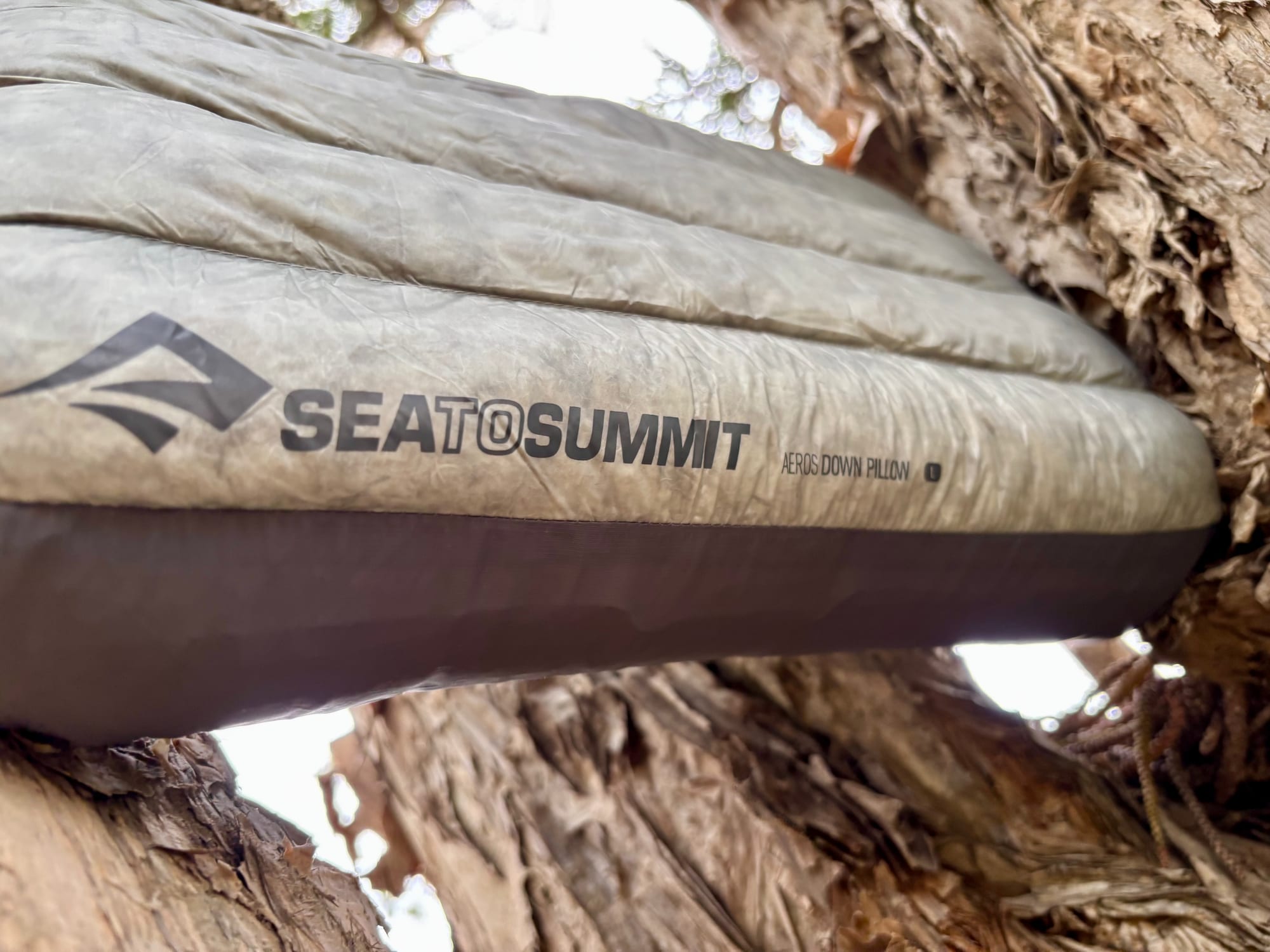 The Sea to Summit Aeros Down Pillow inflated, seen side-on against a tree