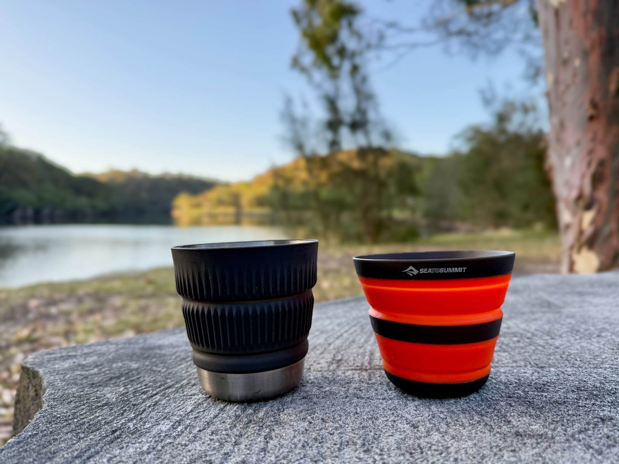 The Detour mug and the Frontier cup open on a log by a lake