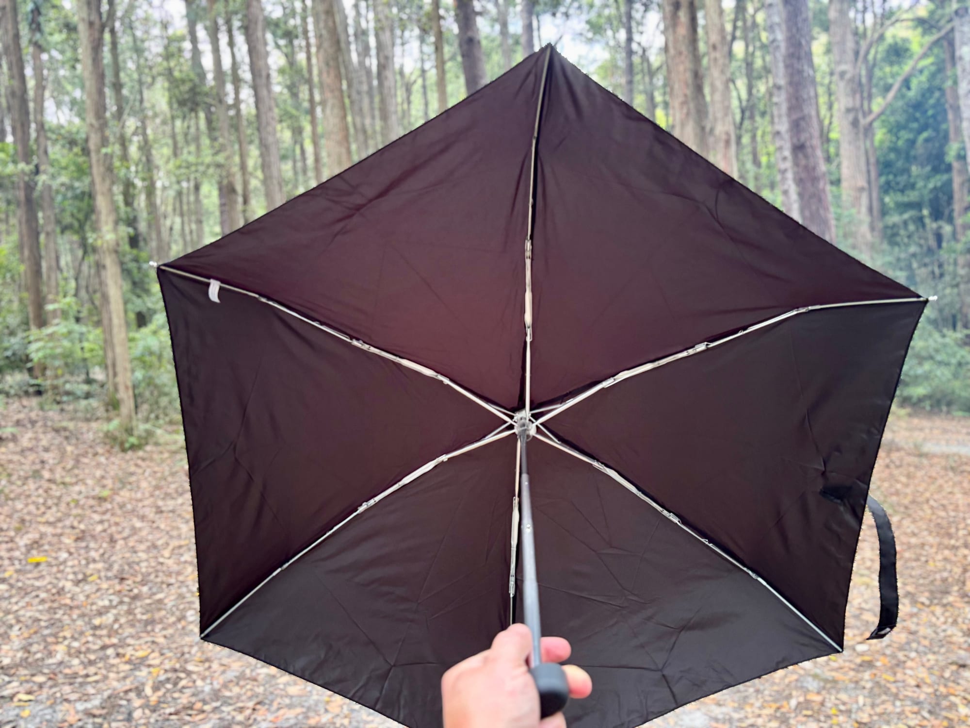 The open canopy of the Sea to Summit Pocket Umbrella seen from below