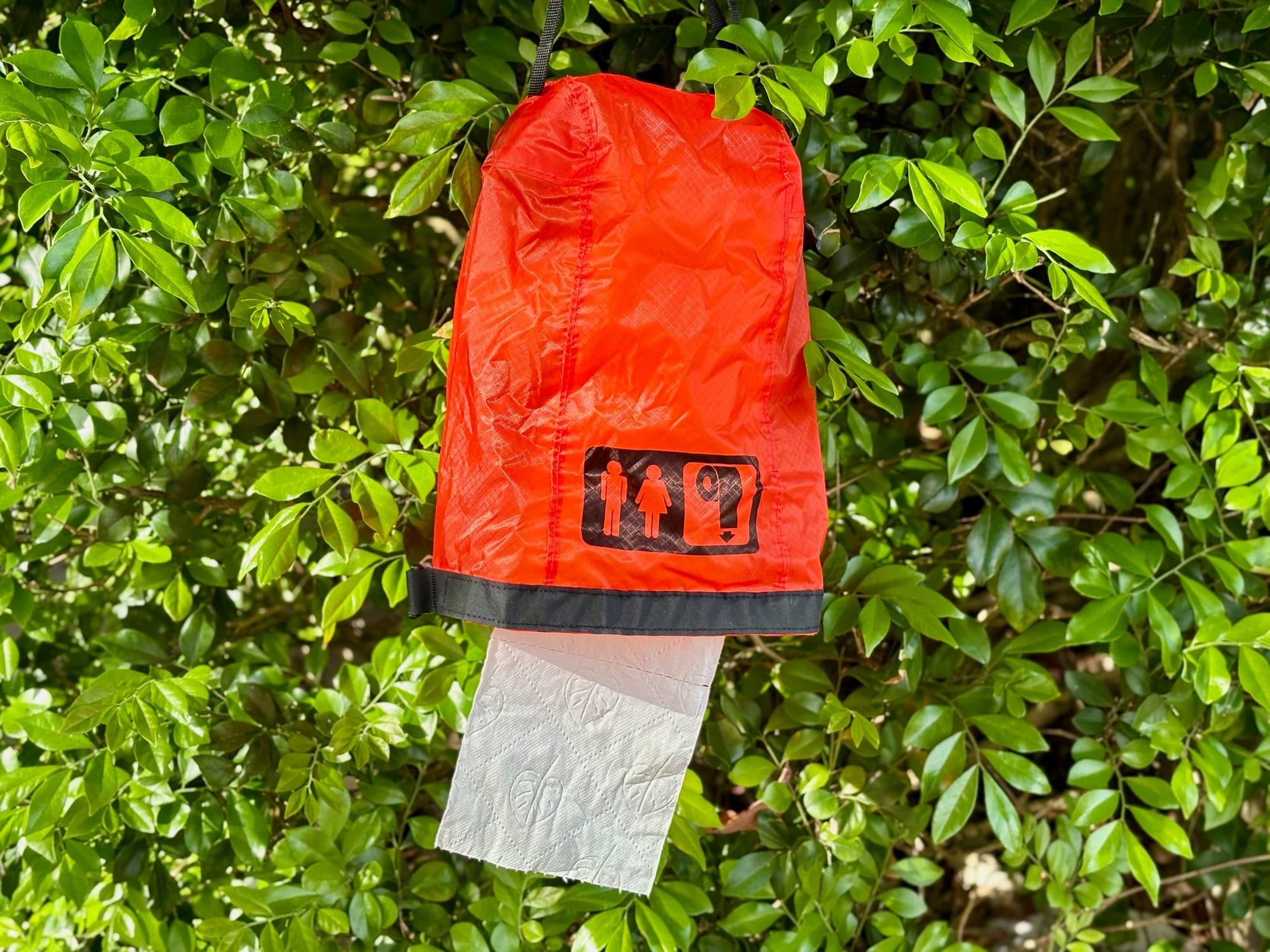 The Outhouse hanging from a branch, with the paper coming out from below