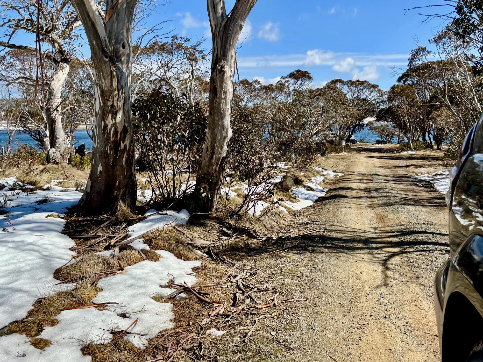 The gravel track along the shore of Three Mile Dam, with snow under the trees