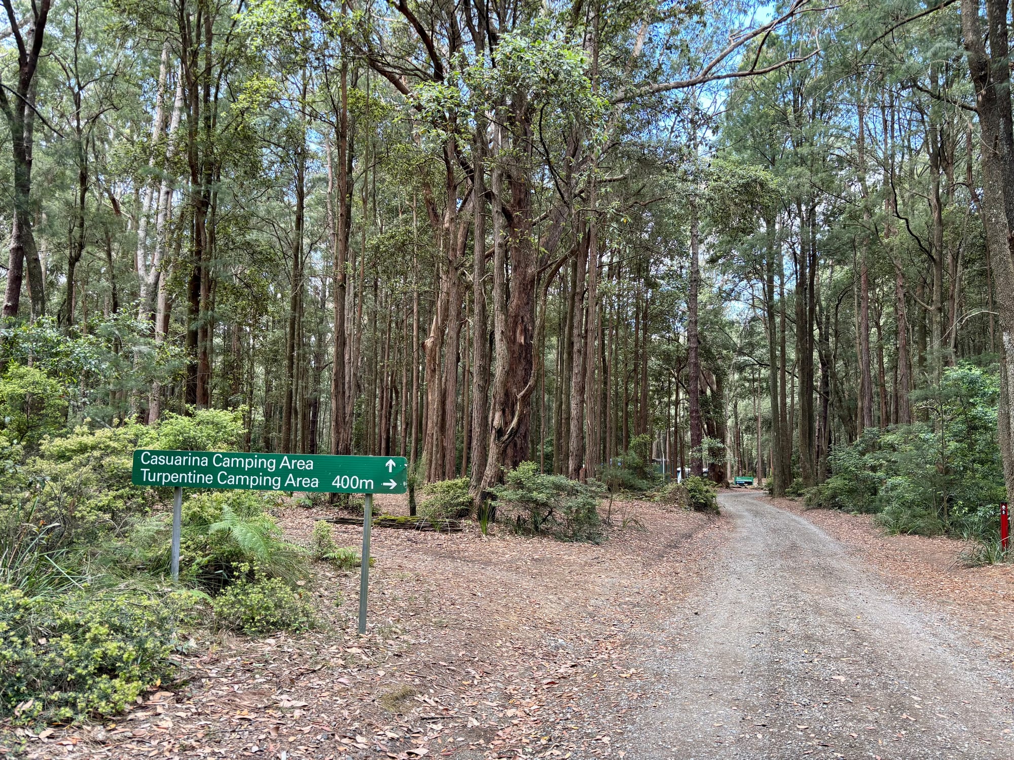 The sign at the fork in the track: Casuarina straight on, Turpentine 400 m to the right