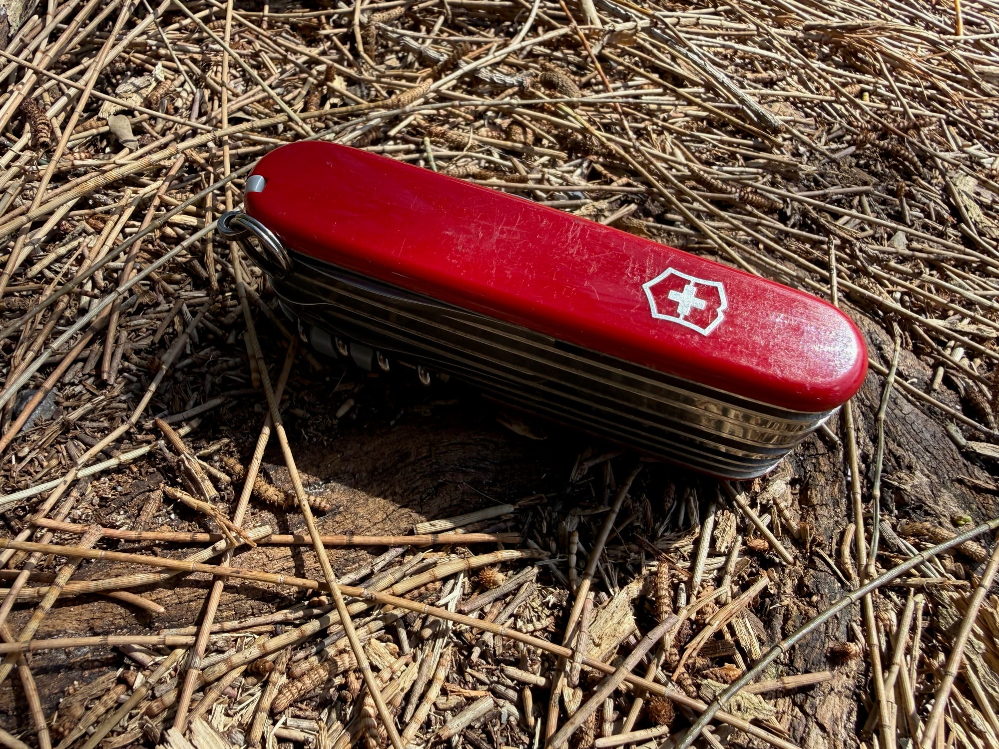 The closed SwissChamp on dry pine needles, showing its scratched red scales and eight layers of tools