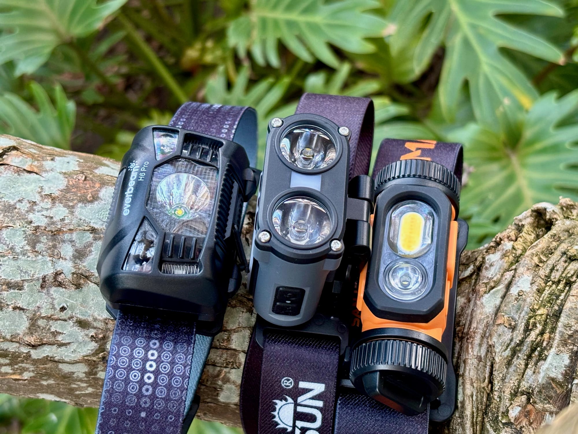 The Everbeam H6 Pro, the Warsun headlamp and the San Hima head torch side by side on a branch