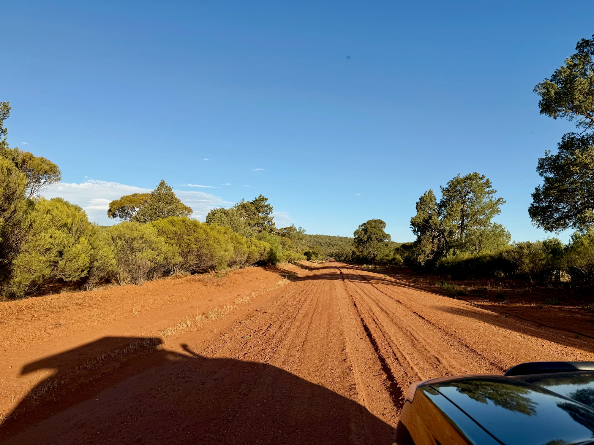 The red dirt road through Cocoparra National Park on the way to Woolshed Flat Campground