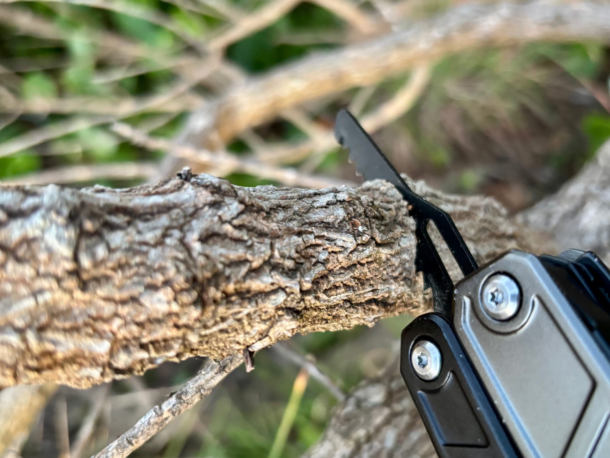 The saw of the Workpro 11-in-1 multitool cutting into a dead branch