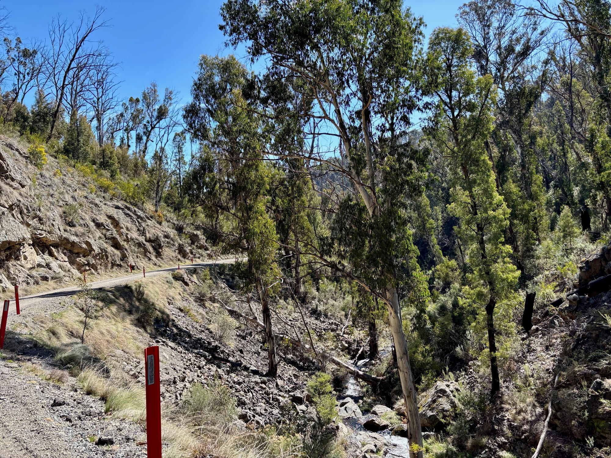 The narrow gravel road in to Yarrangobilly Caves, cut into the hillside above a creek