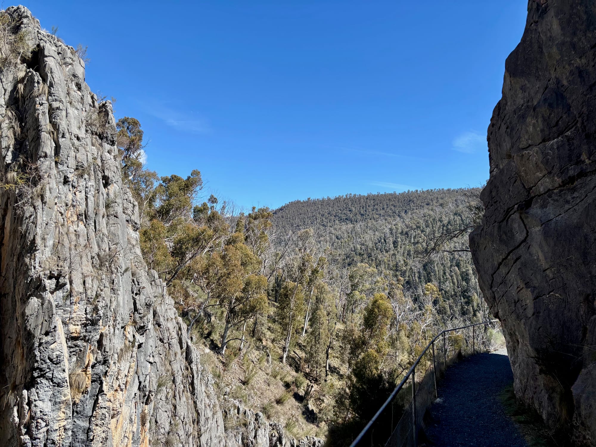 The fenced path to South Glory Cave passing between tall limestone pillars, with the forested gorge beyond