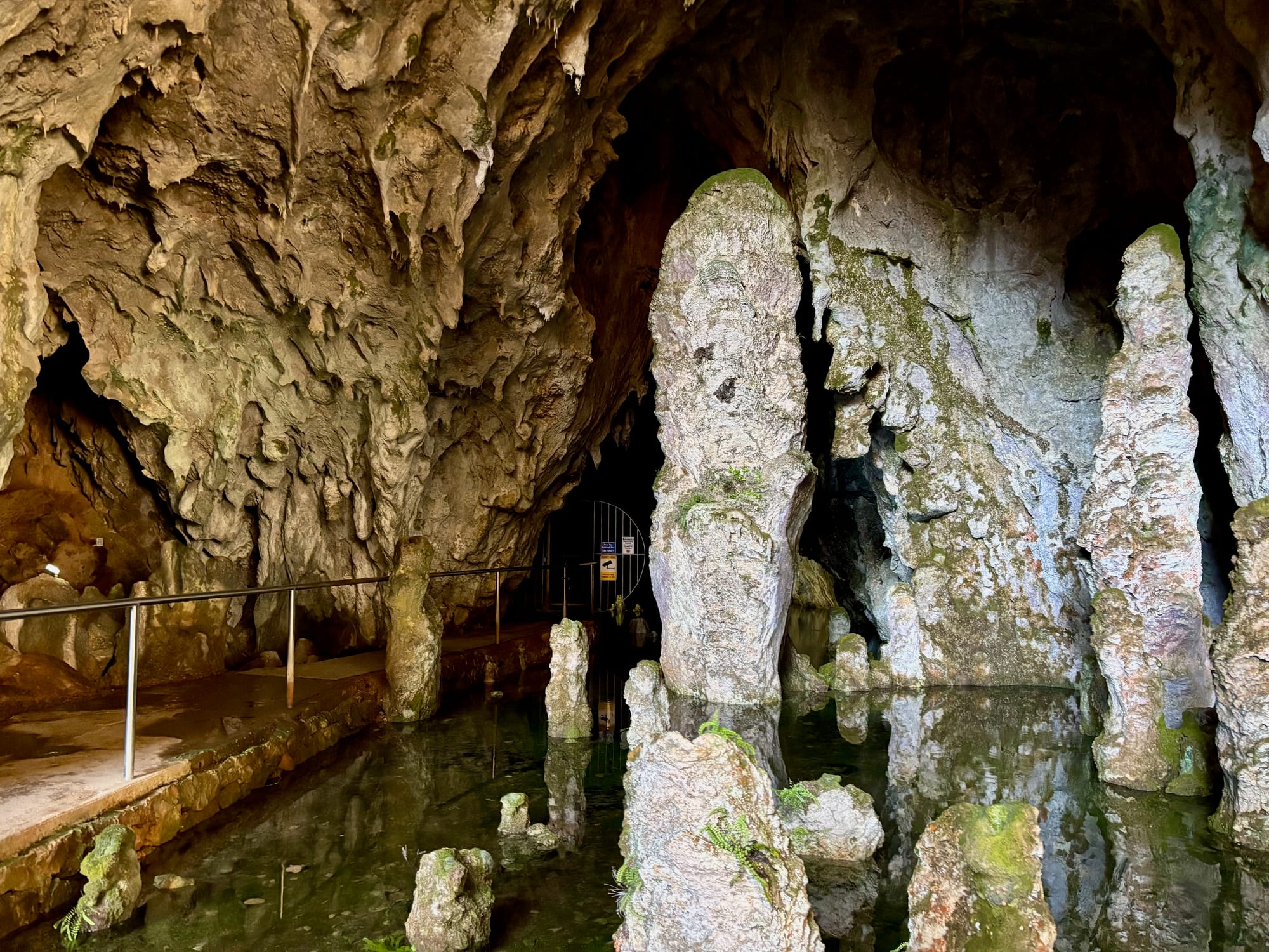 Limestone columns and stalactites beside a pool of water and a railed walkway inside South Glory Cave