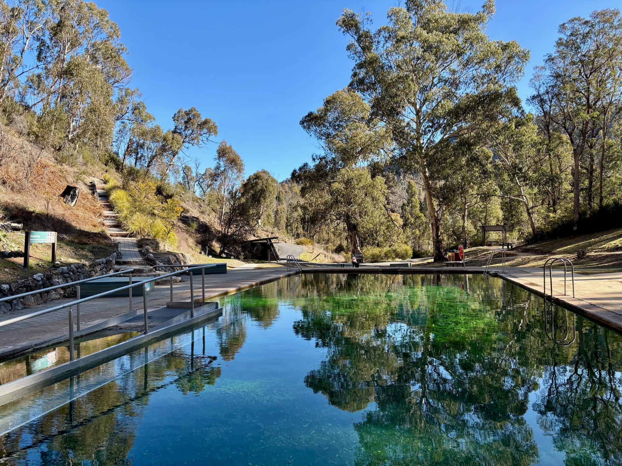 The thermal pool with the wading pool ramp and the steps up the hillside, under tall gum trees