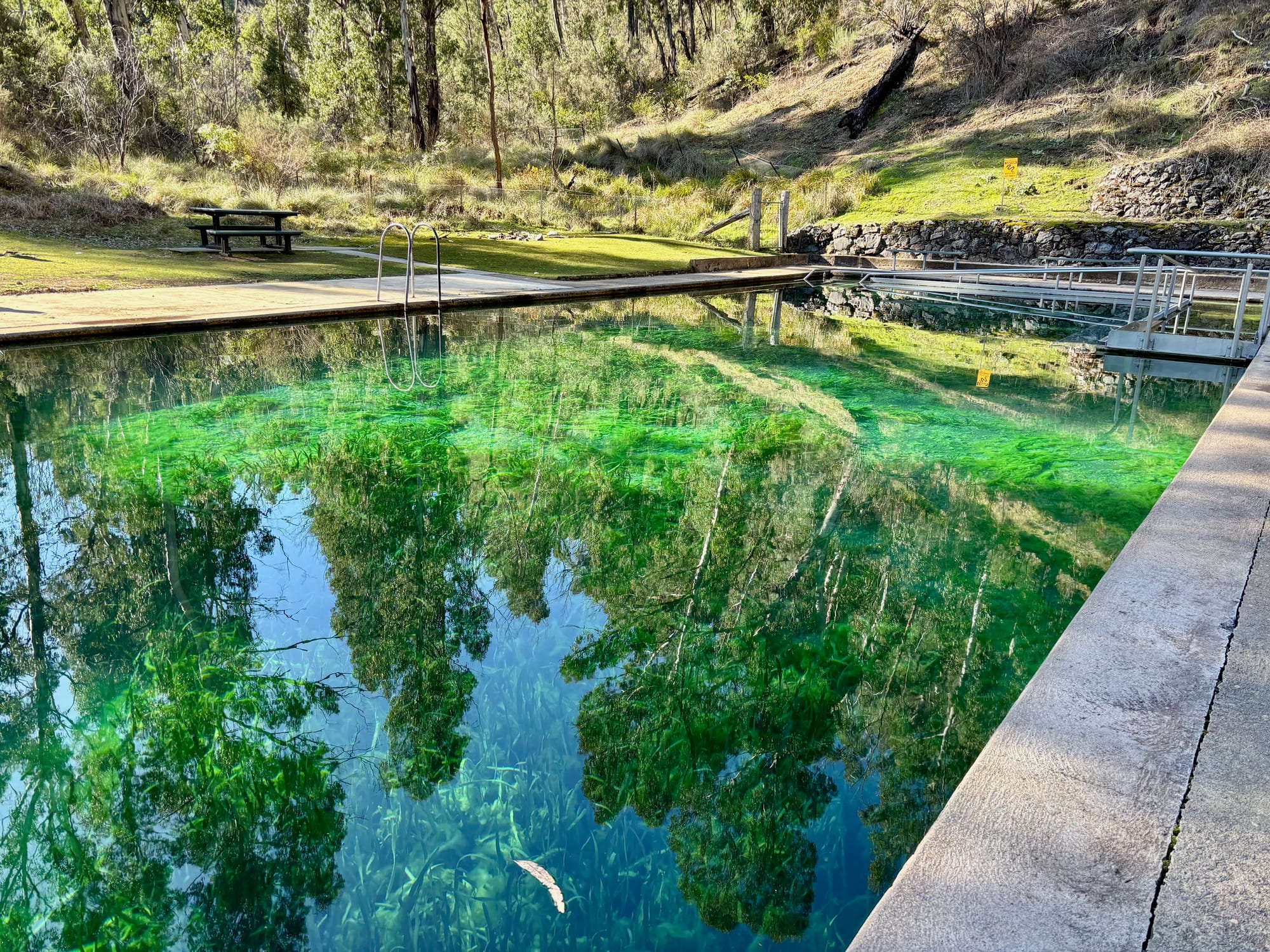 The bright green, clear water of the thermal pool, seen along the pool edge with trees reflected in it