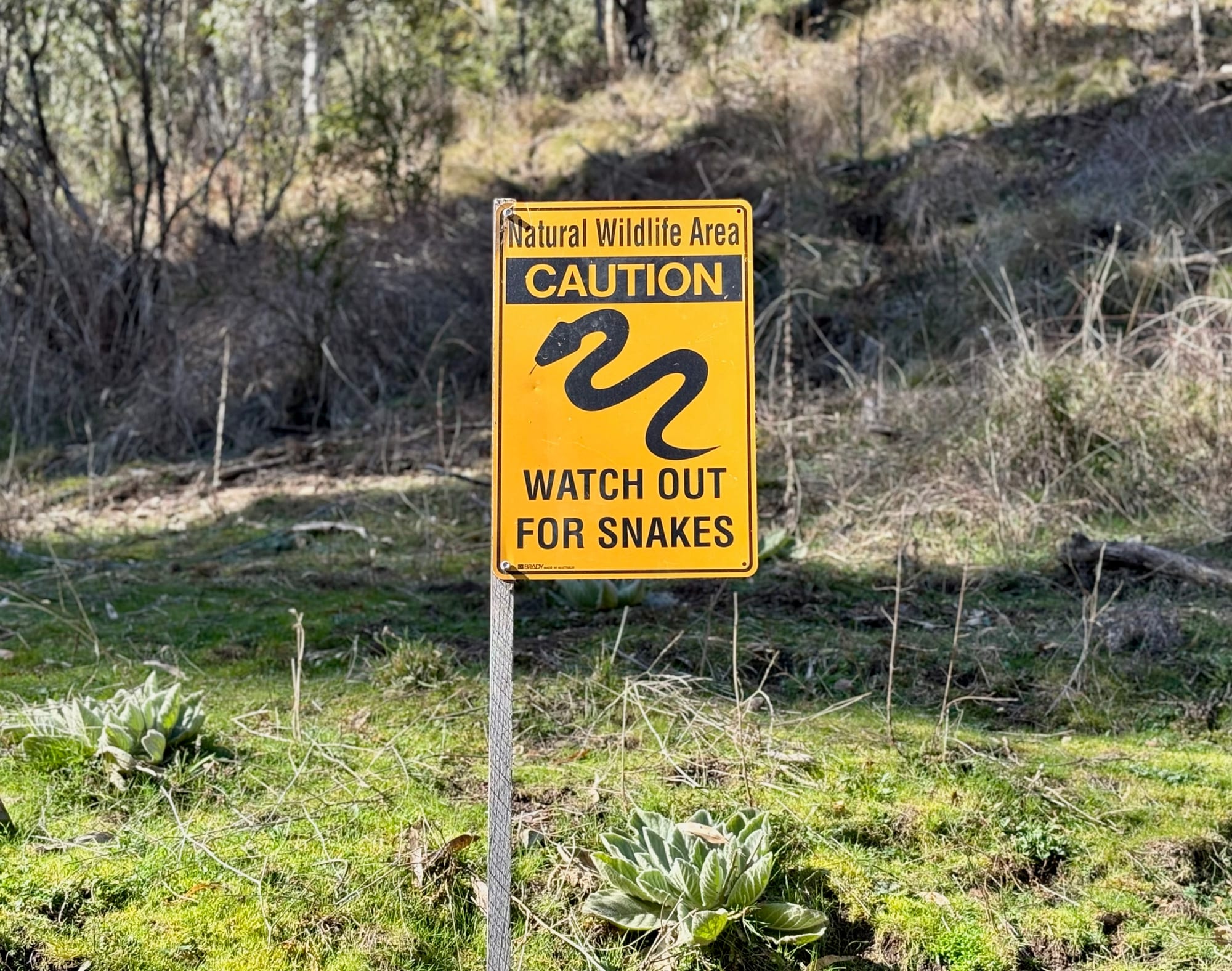 A yellow caution sign on the grass near the thermal pool: natural wildlife area, watch out for snakes