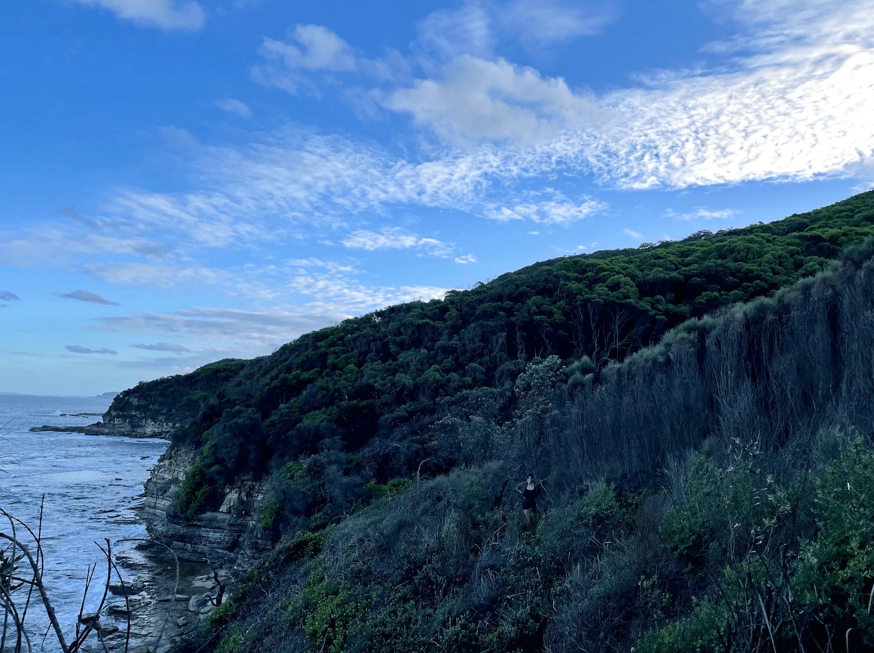 The cliffs and sea along the Bouddi Coastal Walk