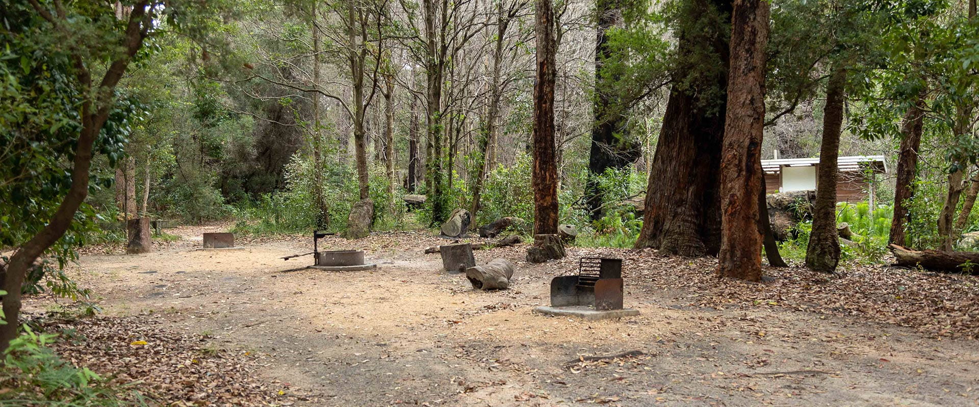 Picnic tables and fire rings among the trees at Wingan Inlet campground