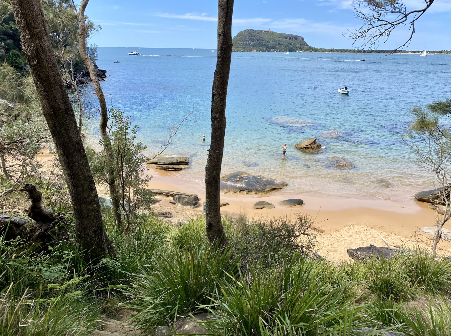 A sheltered beach with clear water seen through the trees on the West Head walk
