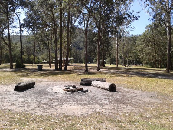 Fire rings and log seats under the trees at Crosslands Reserve, with the river behind