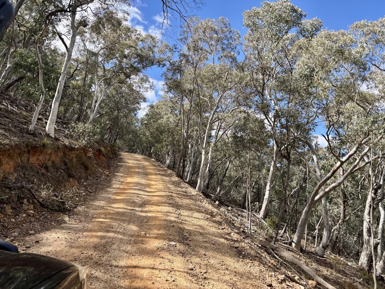 A dirt 4WD track through the bush in Turon National Park