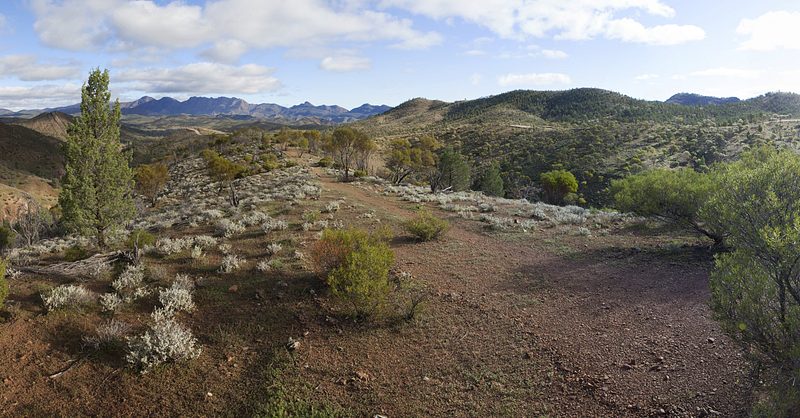 View from a ridge over scrub and dry creek beds to the Flinders Ranges