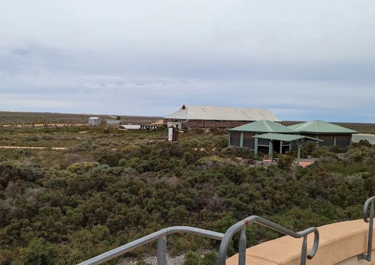 The Mungo Visitor Centre among the saltbush