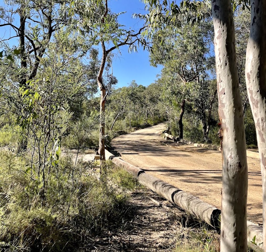 The gravel access road to Finchley Campground in Yengo National Park