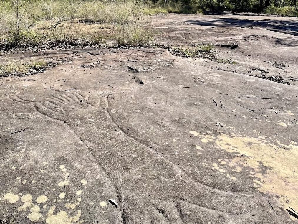 Aboriginal rock engravings on the sandstone near Finchley Campground