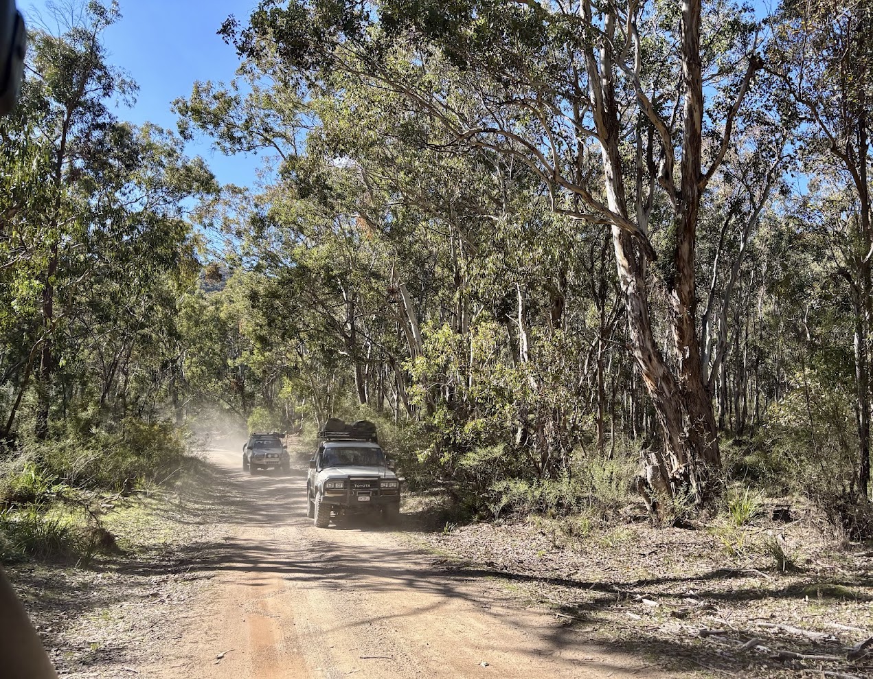 A 4WD raising dust on the Airly Gap Trail through the bush