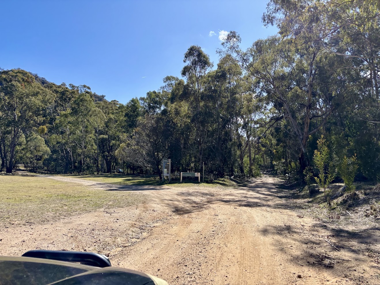 The dirt track into the Mount Airly camping area between the trees