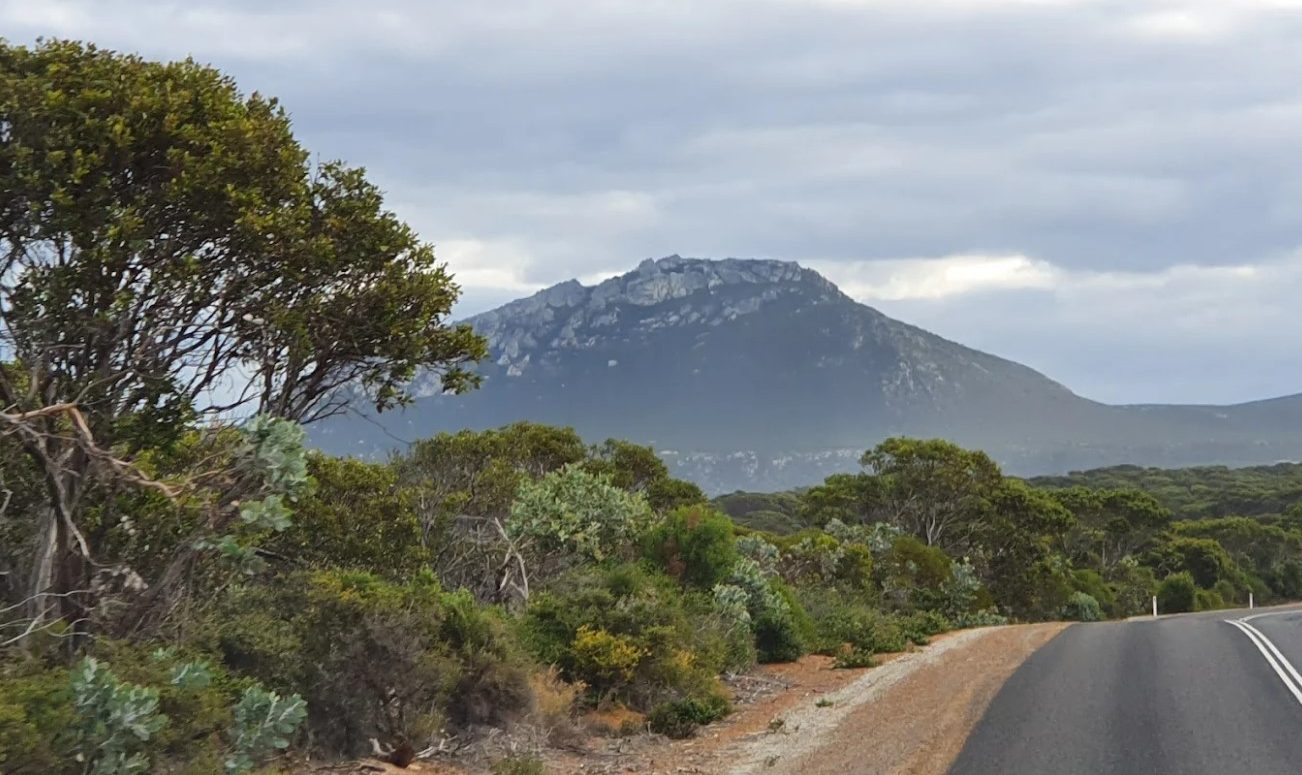A sealed road heading towards a mountain on the drive to Four Mile Campground