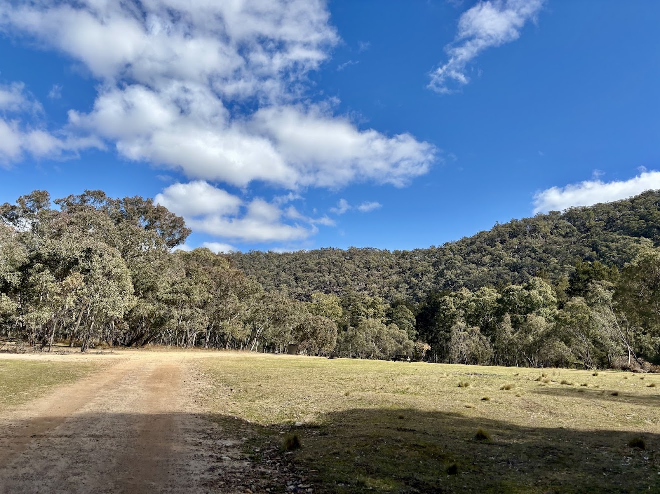 The open grass camping area at The Diggings Campground with the track through it