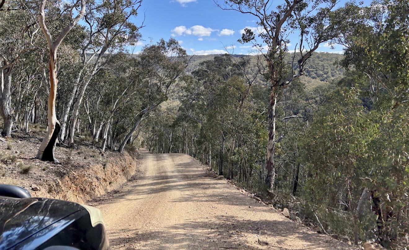The dirt Steep Hill Road through the bush in Turon National Park