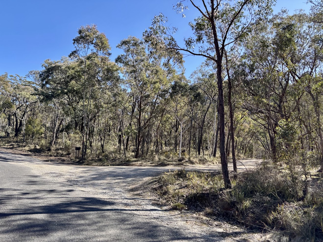 The turn from Glen Davis Road onto the dirt Airly Gap Trail