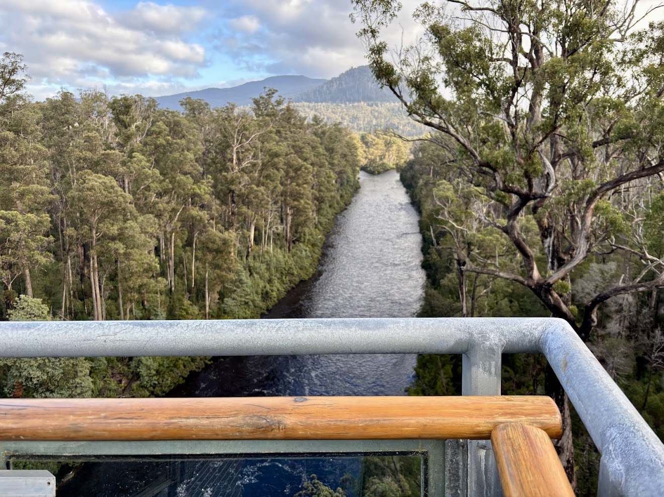 The Huon River seen from the viewing point at the end of the Tahune AirWalk