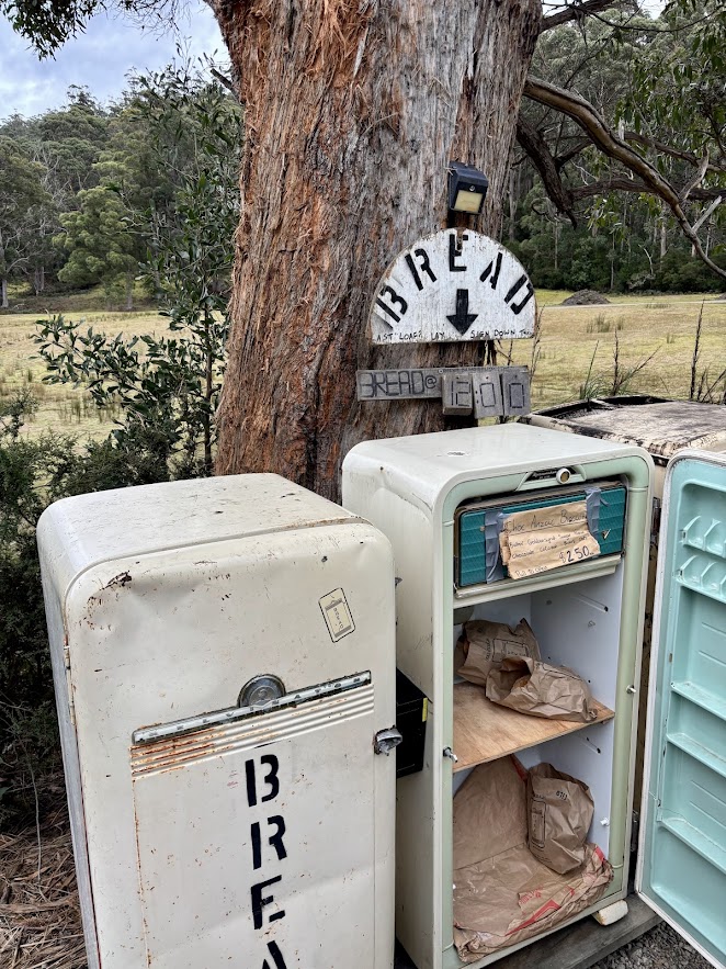 The Bruny Island bread fridge under a gum tree beside the road